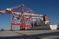 山东老字号海运代理 专业批发与供应服务解析