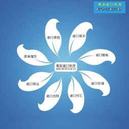 合肥食品进口报关流程及时间解析 上海港口报关代理与国内贸易代理服务