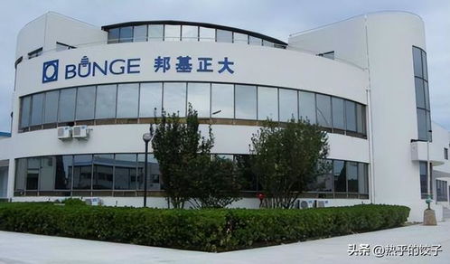 胖东来绕开国内油企，以自主采购保障食用油食品安全